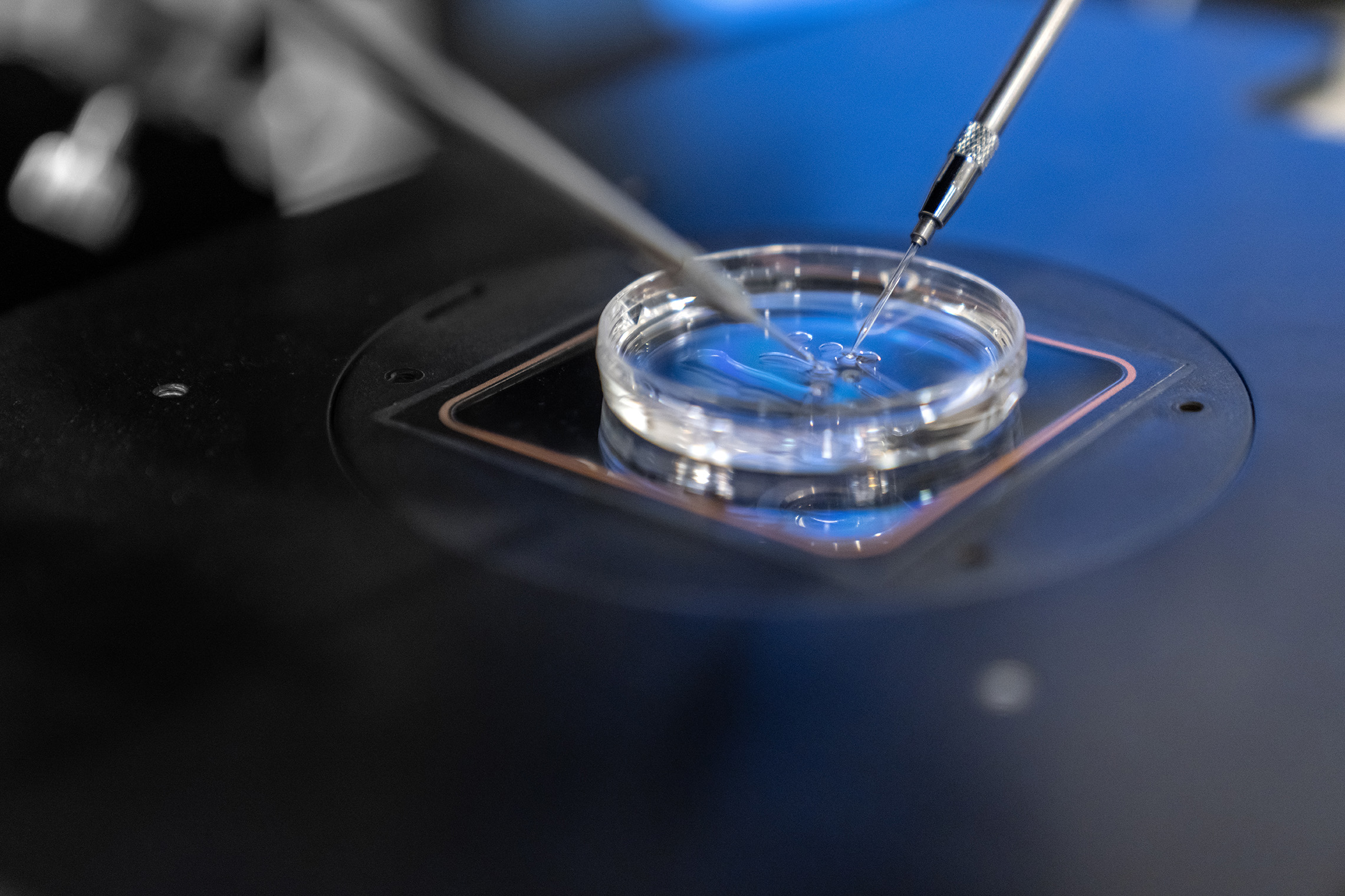 Workshop: CAP Accreditation Bootcamp for IVF Labs