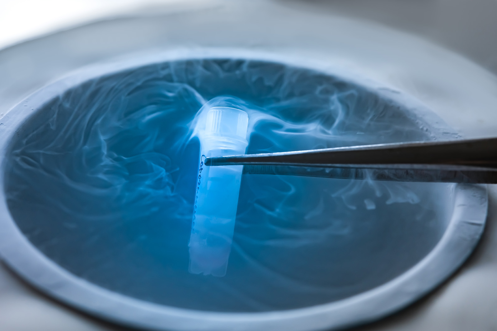 Workshop: Ovarian Tissue Cryopreservation and Transplant